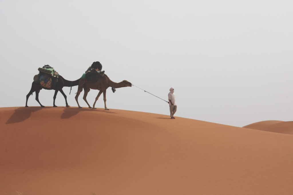 Photo caravane chameaux dans le désert lors d'un trekking