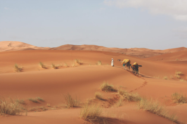 Désert Marocain