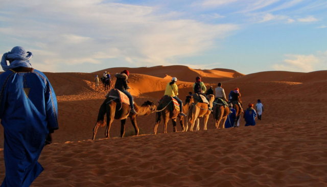 Découverte du désert à de de chameaux