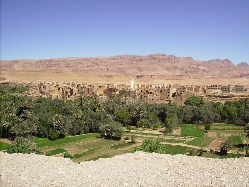 Palmeraie Maroc