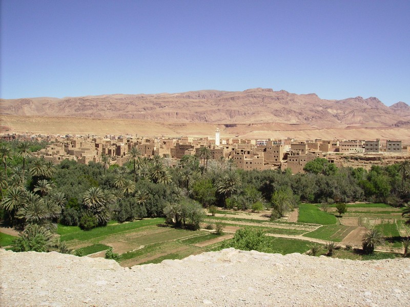 Paysage typique du Sud du Maroc