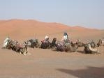 Excursion 4x4 dans les dunes du maroc