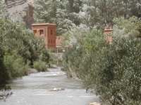 Oued dans le désert du Maroc