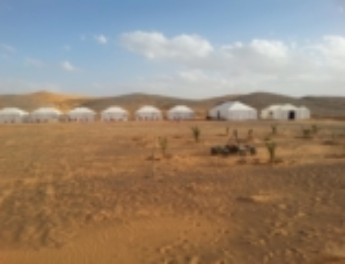 Un bivouac de luxe au milieu des dunes